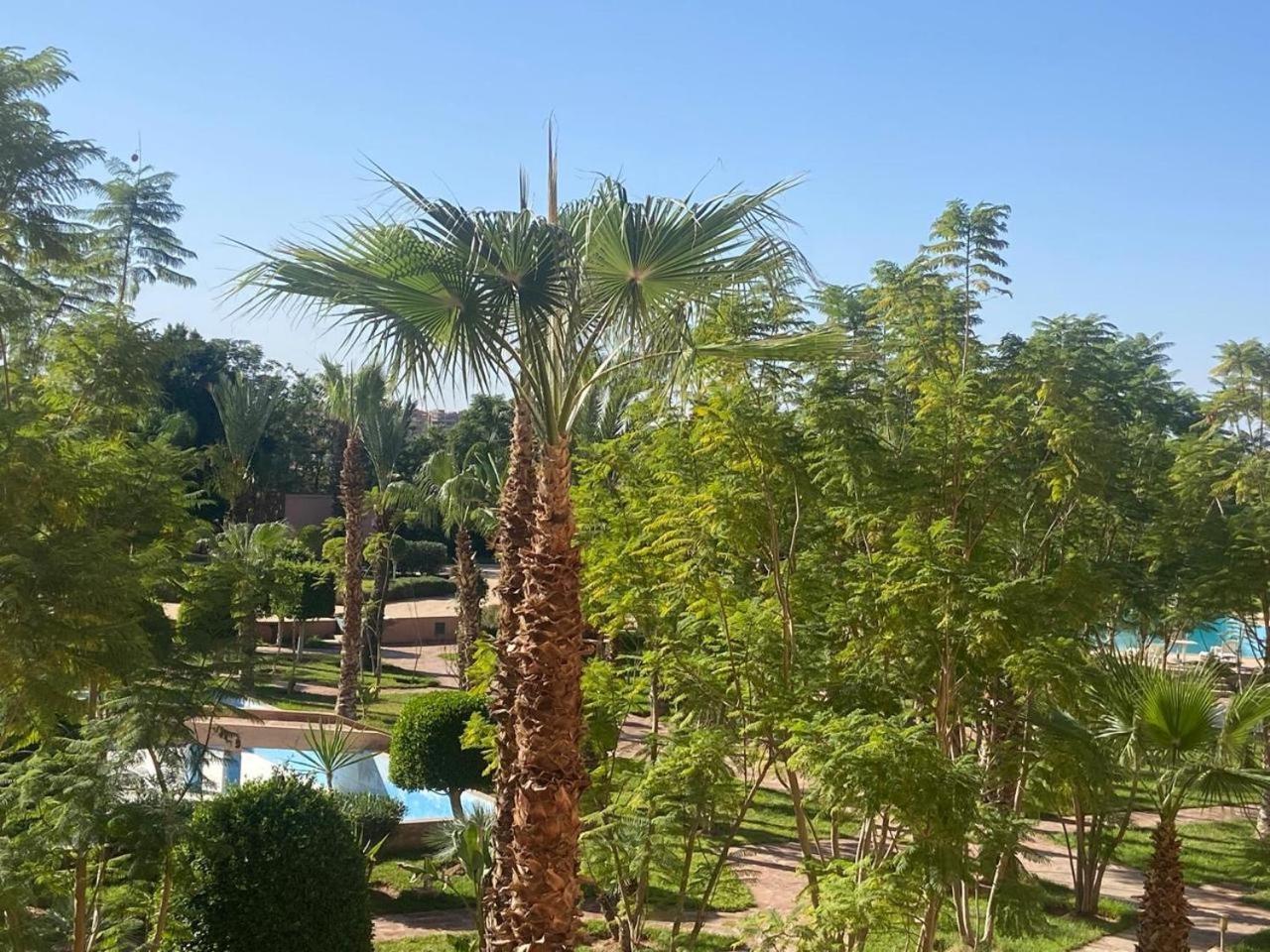 De Luxe Hivernage Appartement Marrakesh